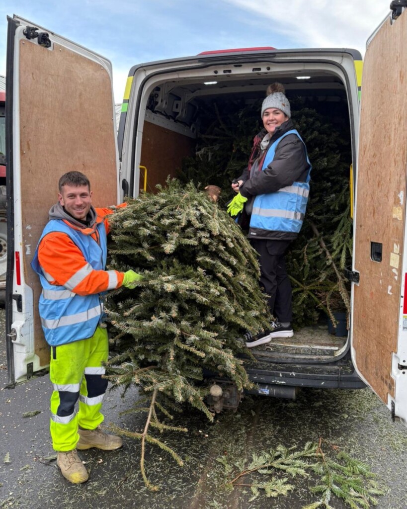 Two volunteers load a large Christmas tree into the back of a van.