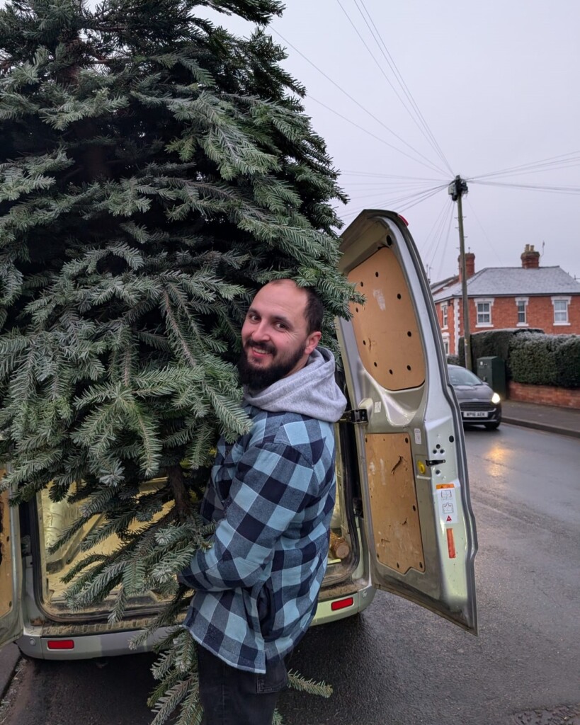 A volunteer loads a large Christmas tree into the back of a van. 