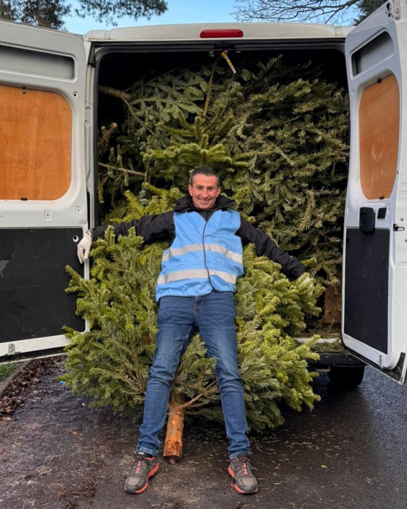 A volunteer leans on a large Christmas tree which is itself leaning on the back of a van which is full of Christmas trees. 