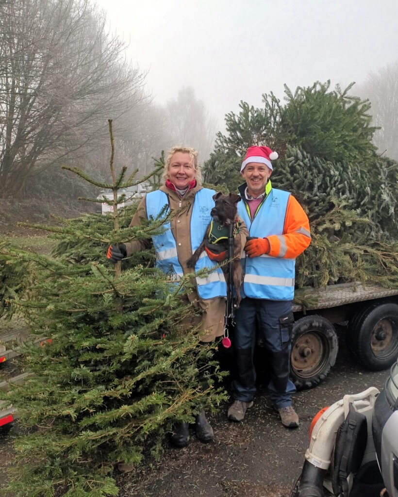 Two volunteers and a dog stand with a pile of Christmas trees which will be recycled. 