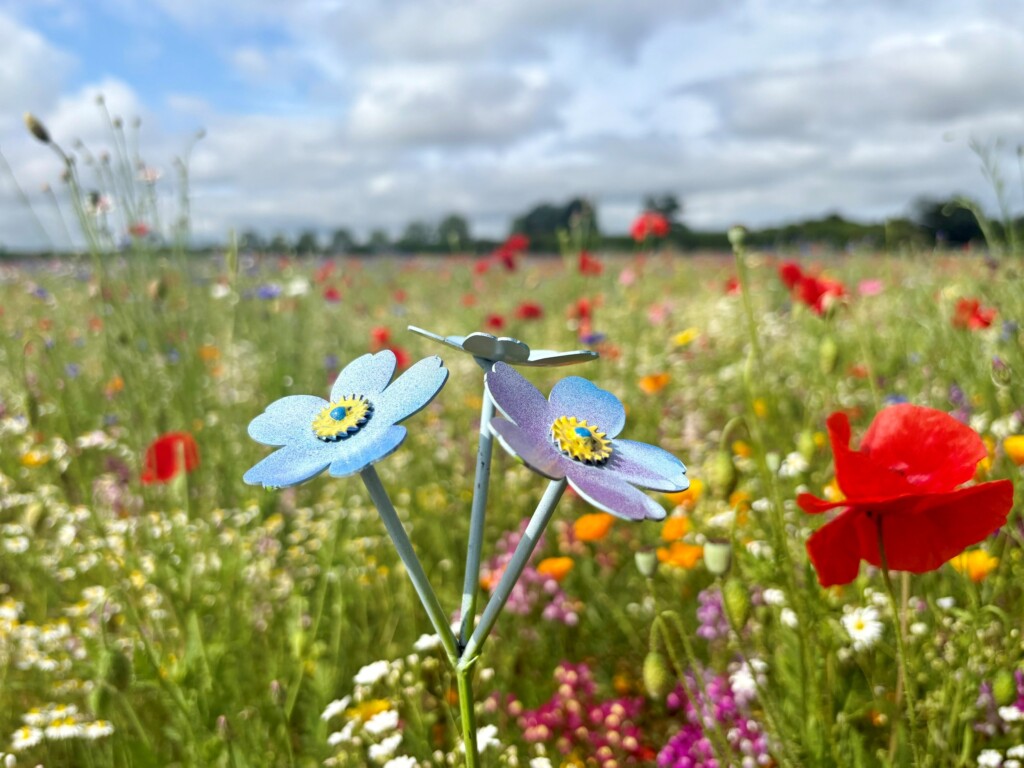 Three blue metal forget-me-not flower sculptures stand in sharp focus against a blurred wildflower meadow or garden filled with red and pink blooms under a dramatic cloudy sky in Worcester.